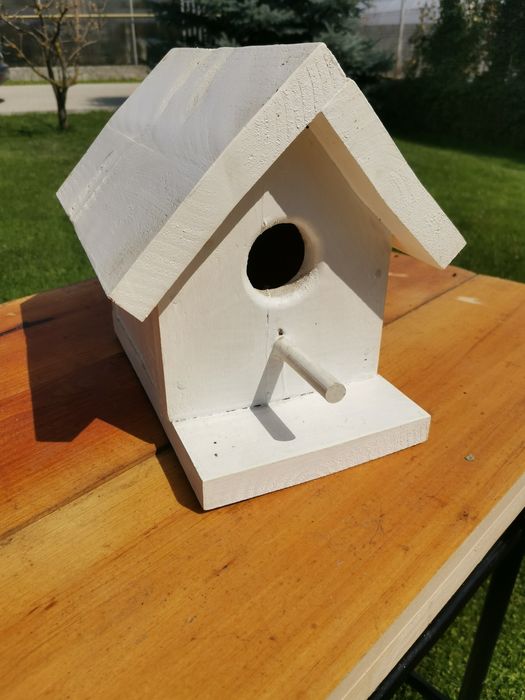Căsuța păsări lemn rasinoase