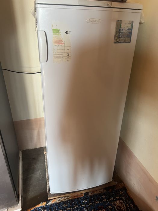 bryusa haladelniki sotiladi