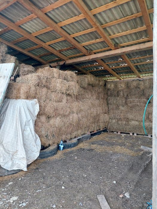 Vand baloti dreptunghiulari