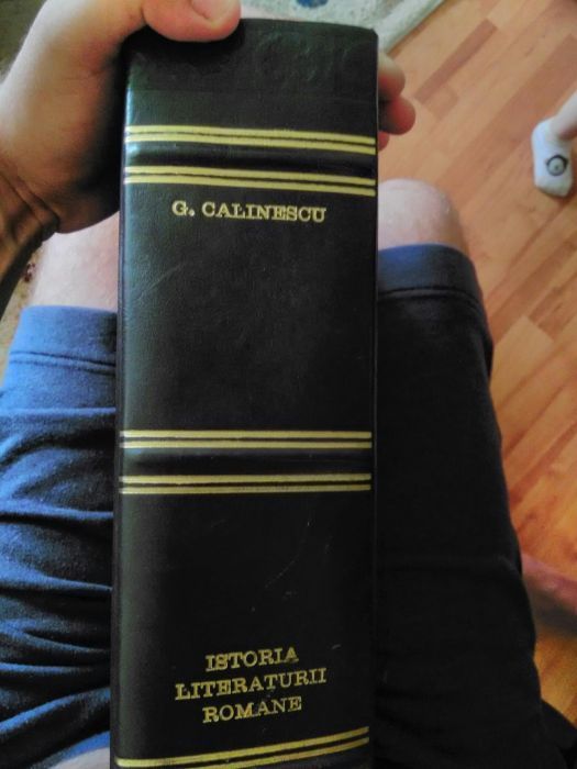 Unicat Istoria Literaturii Romane George Călinescu