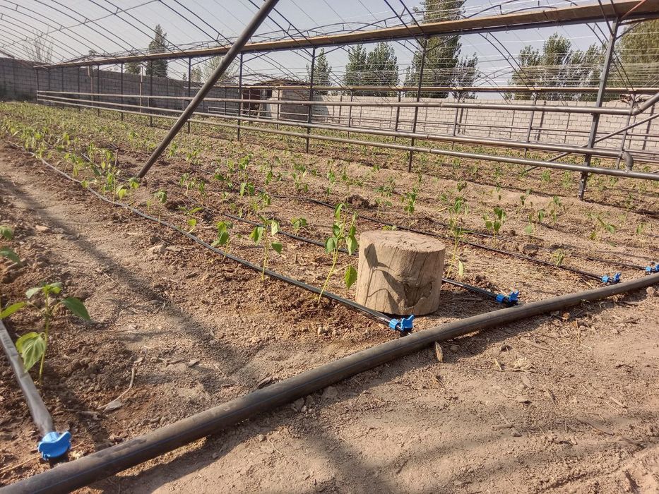 Issiq xona 4.5 sotix sotiladi