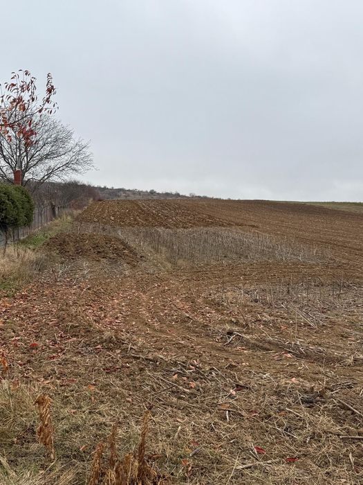 Teren de vânzare suprafata 1 ha, deschidere 20 m,în Poienari !!