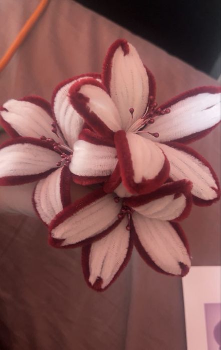 3 crini albi visiniu buchet