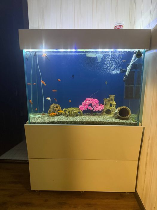 Akvarium 280litr