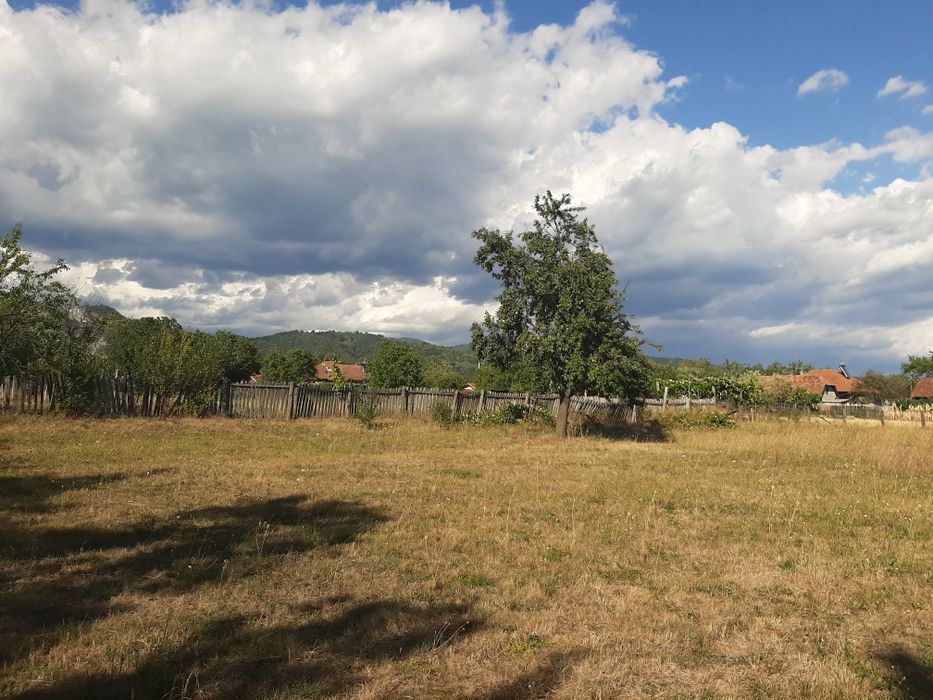 Teren extravilan