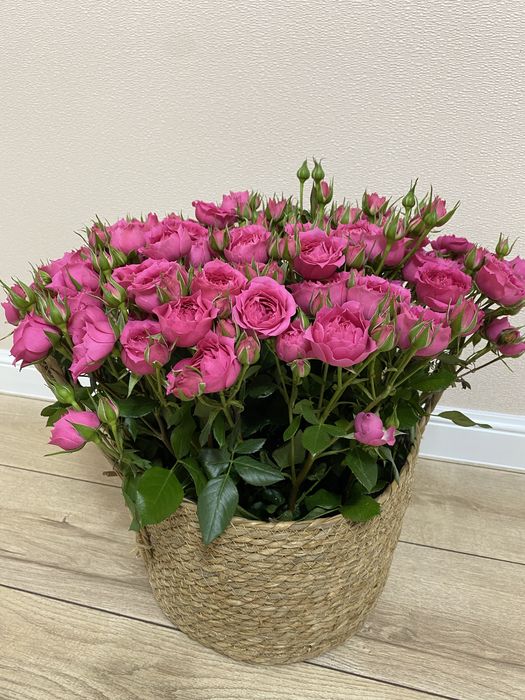 Продам цветы в корзине
