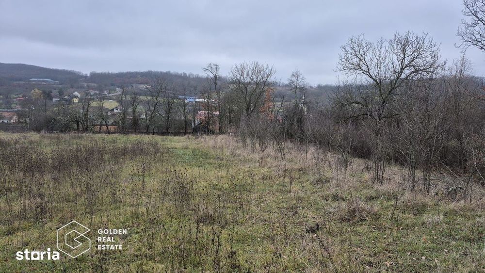 Teren intravilan, 2880 mp, comuna Sistarovat