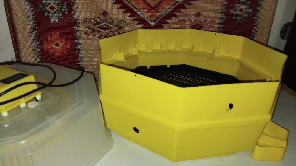 Incubator oua struti