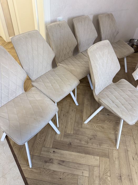 Стулья в количестве 6