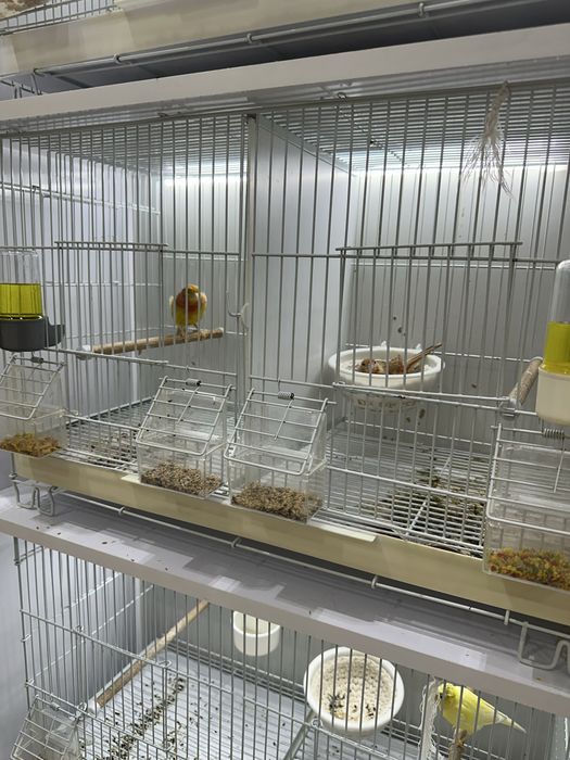 Паровка кафас шкаф