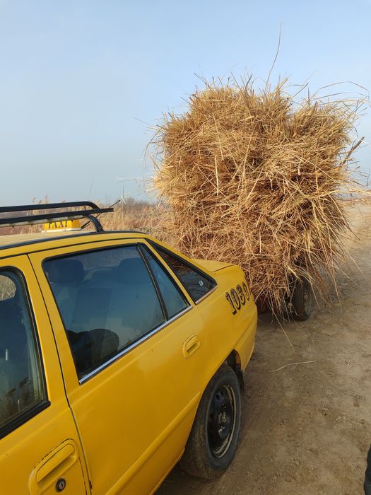 Нексия2 холати яхши бахосини келишамиз