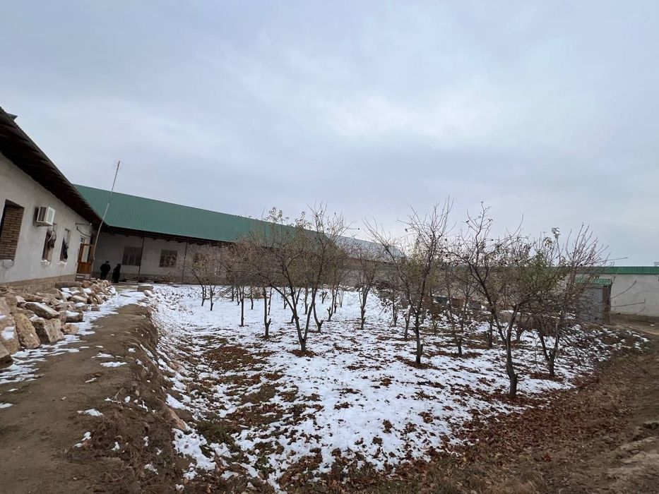 18 sotixli tayyor uchastka sotiladi. Qorovulbozor shahrida