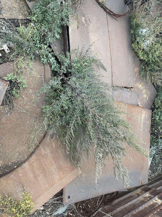 Продам листы металла