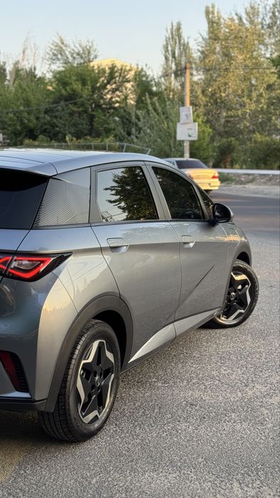 BYD Dolphin 2023 — 6