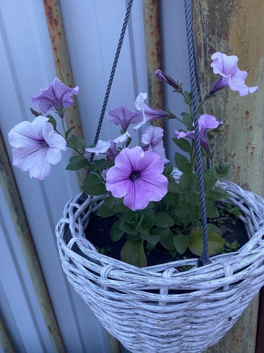 Продам кашпо ручная работа