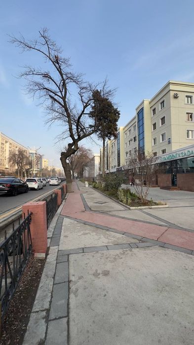 Продается не жилое помещение 177 м2 Дархан с арендаторами