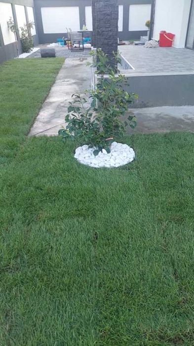 Gazon Rulou Sport și Rezidențial – Rezistență Maximă și Culoare Vibrantă