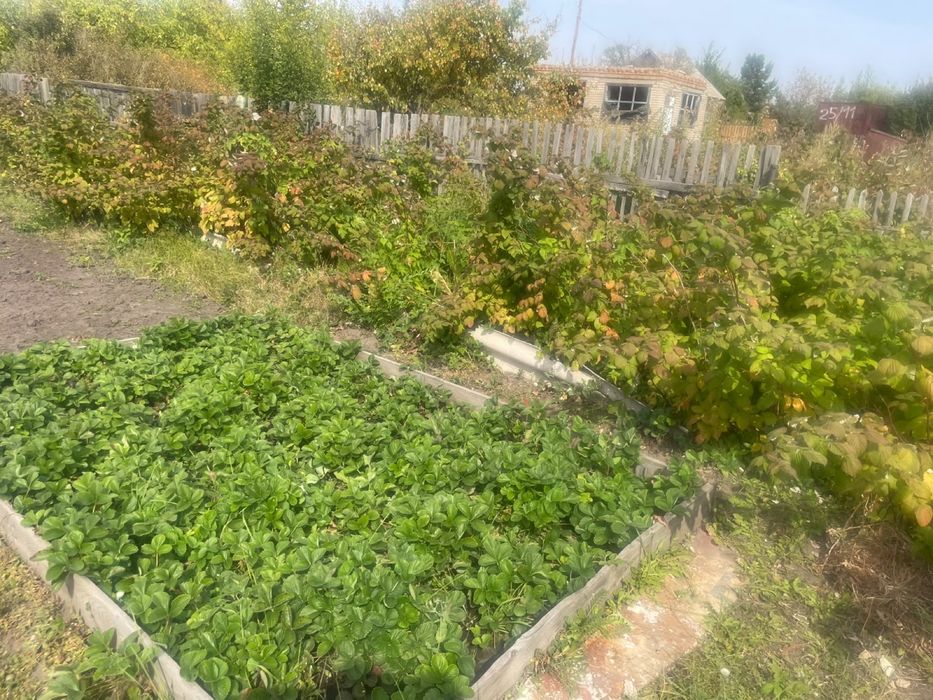 Продам дачный участок