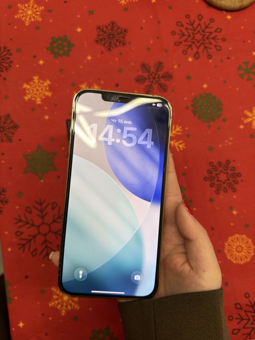 iphone 12 pro max 256