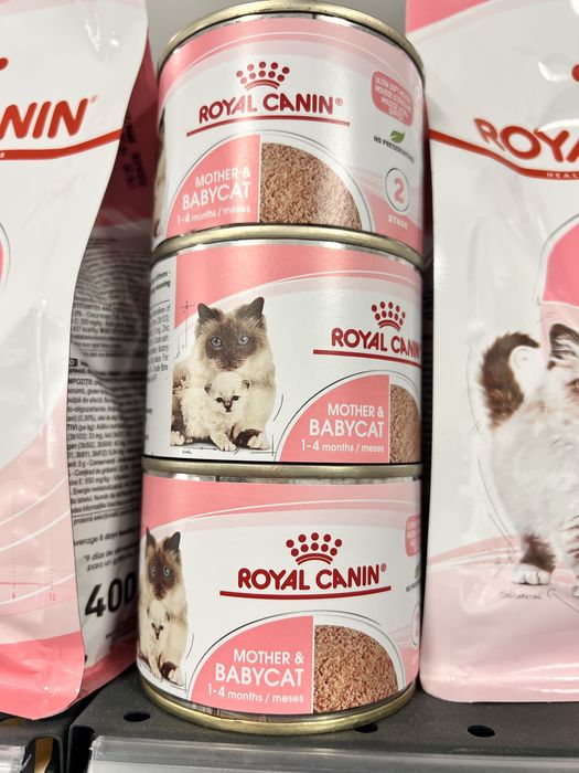 Бокс  Royal Canine Cat за котка