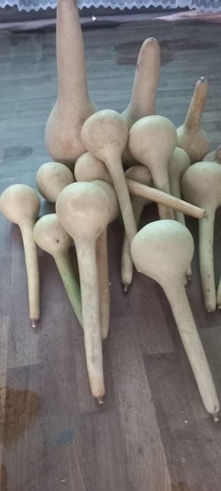 Продам ковщики (тыквянка)
