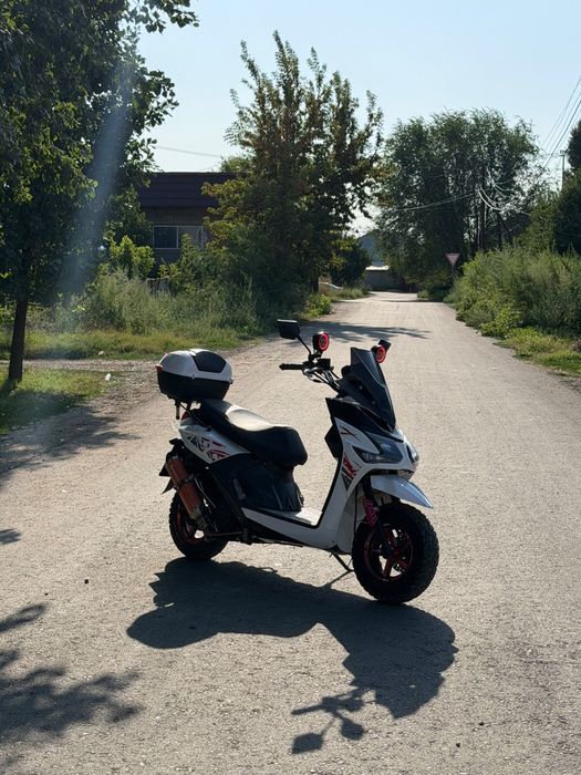 Лия самурай 2025