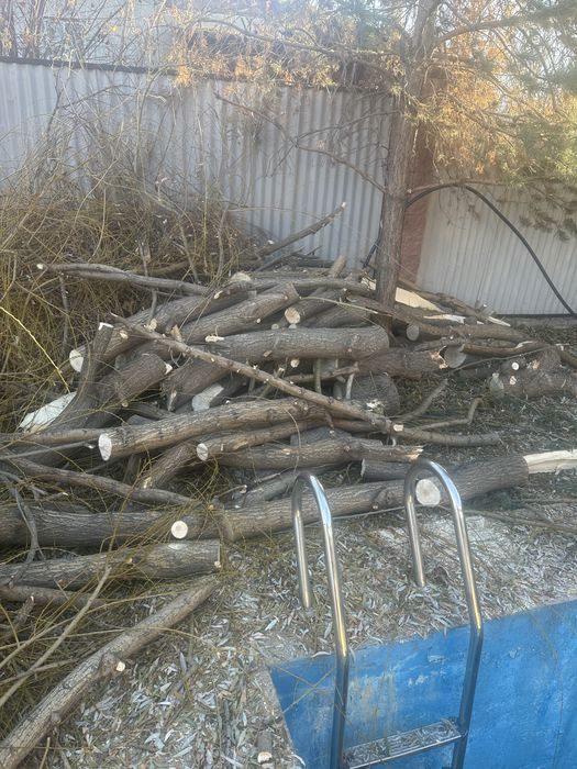 Продам дрова , самовывоз