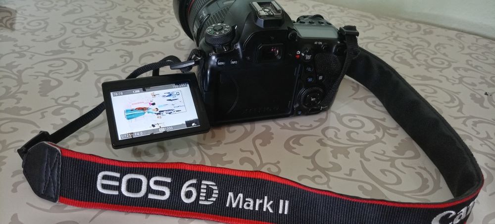 Canon 6D Mark II 24-105L F4 USM