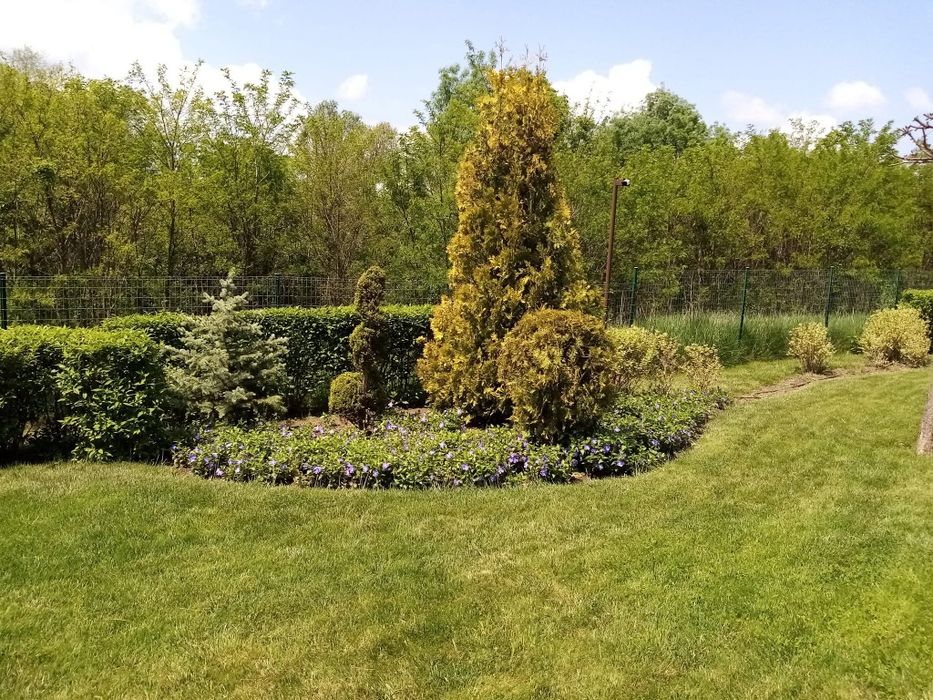 Озеленяване, косене, поддръжка на тревни площи