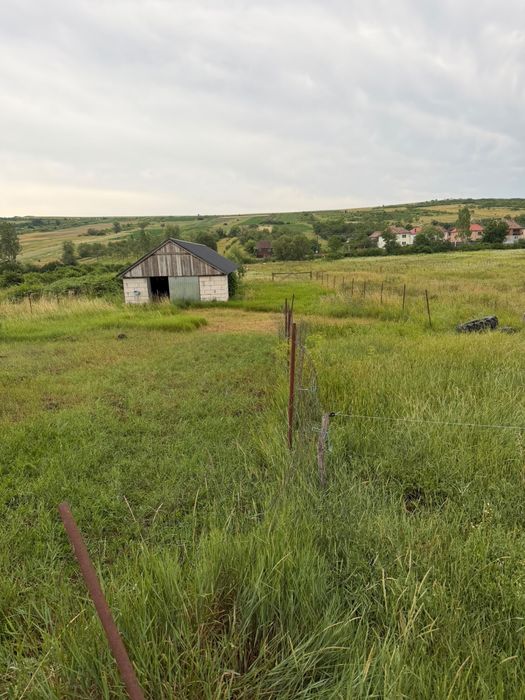 Vand teren intravilan in crasna marin jud salaj