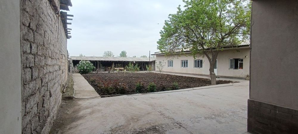 Chortoq mahalla 8 sotix