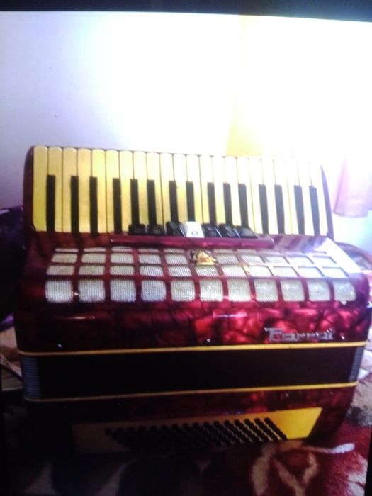 Acordeon parota 96 de bași