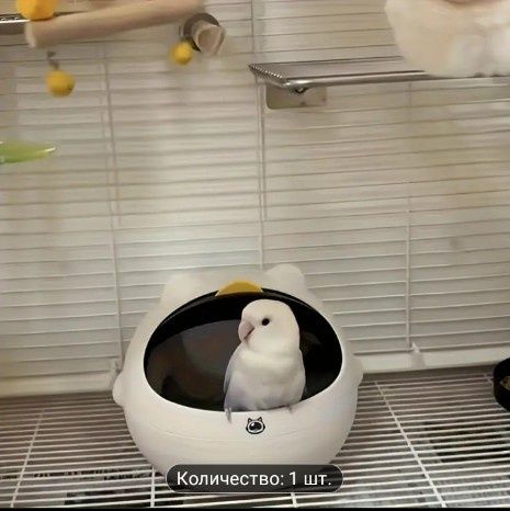 Домик для попугая