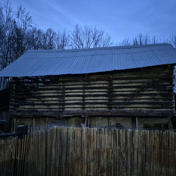 Fan și otava an 2025