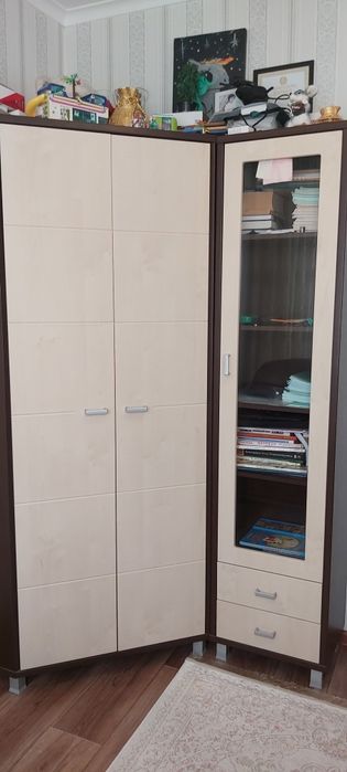 Мебель детская ,стол,шкаф.