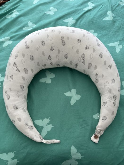 Perna gravide alaptare bebelusi