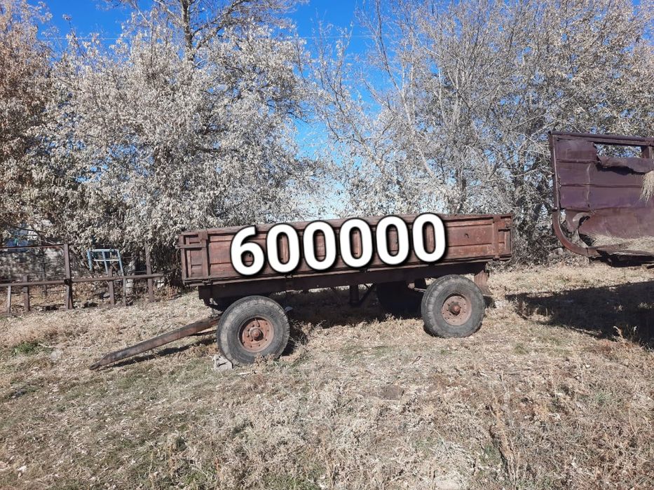 Продам или обмен на баран