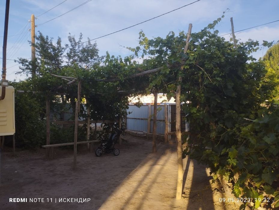 Али ауылда Мойнак районы Кызыл жар АПЖ