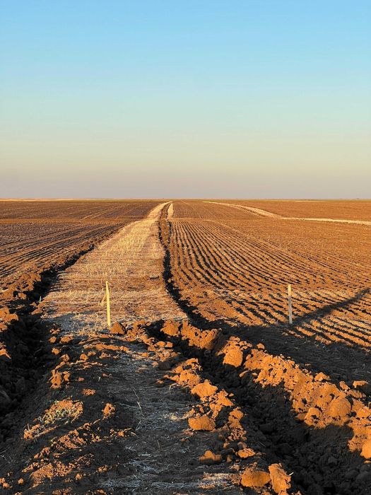 servicii topografice – Trasare limite de proprietate