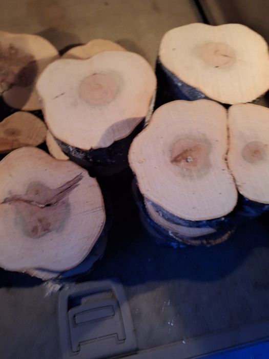 Шайби от естественно дърво 67 броя