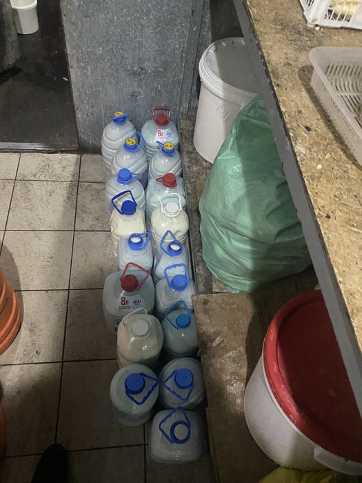 Кымыз 500 Шубат 700