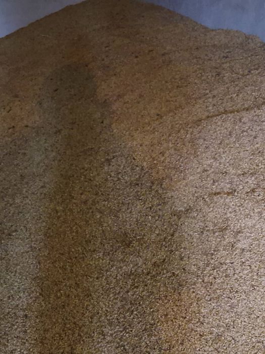 Ечемик реколта 2025