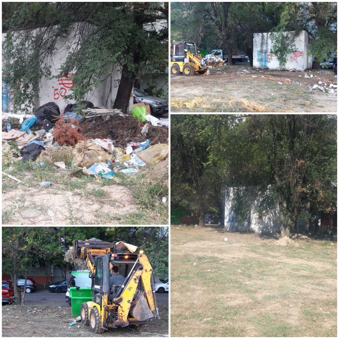 Defrisare Curatare teren Vegetatie Arbusti Ambrozie, Tocare crengi