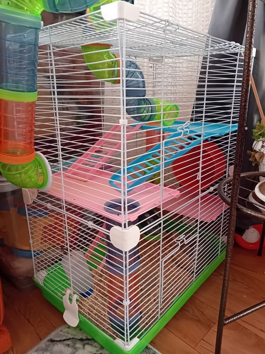 Клетка +два хаместера