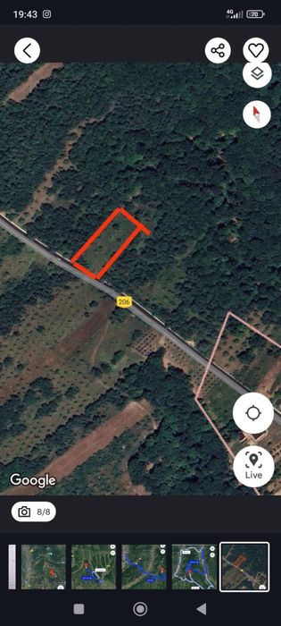 Teren extravilan langa padure