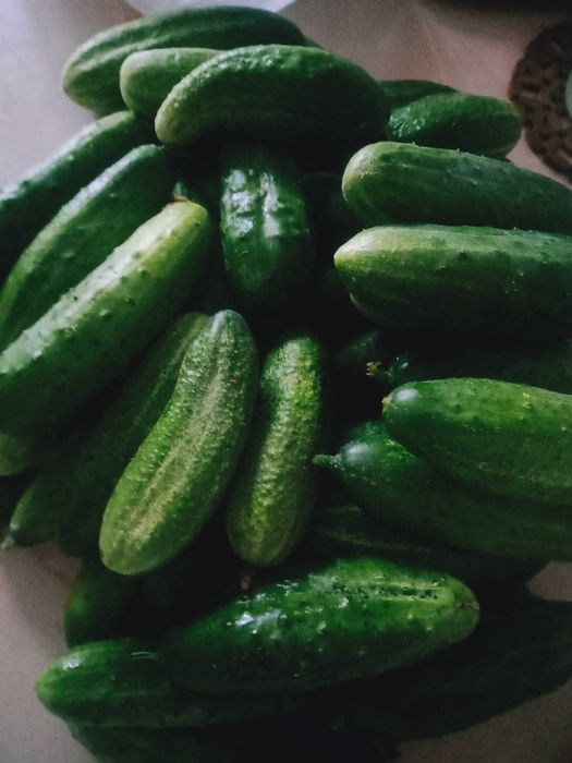 Продам ягоды облепихи