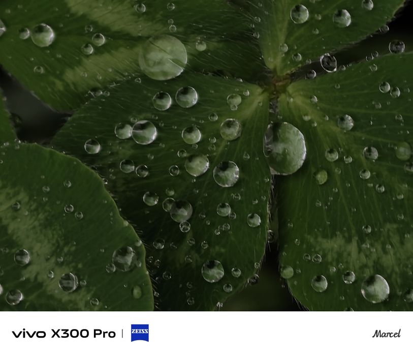 Vivo x300 Pro АКБ 100%