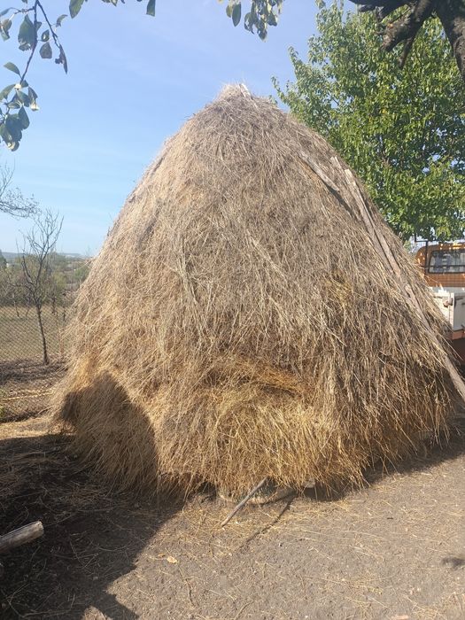 Clai de vânzare cu fan și lucerna