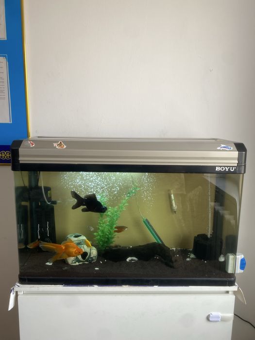 Продается аквариум на 100литров