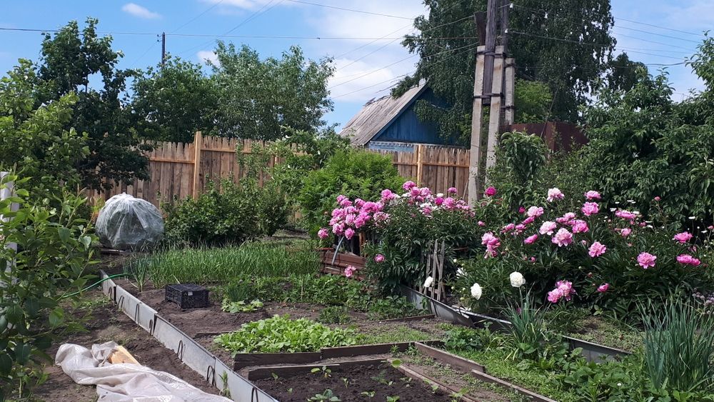 Забор из горбыля